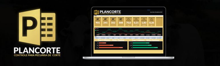 Plancorte