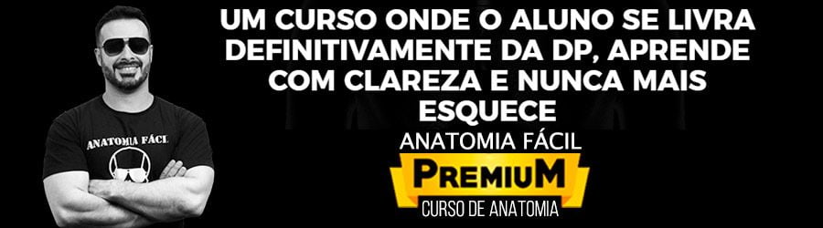 Anatomia Fácil Premium 