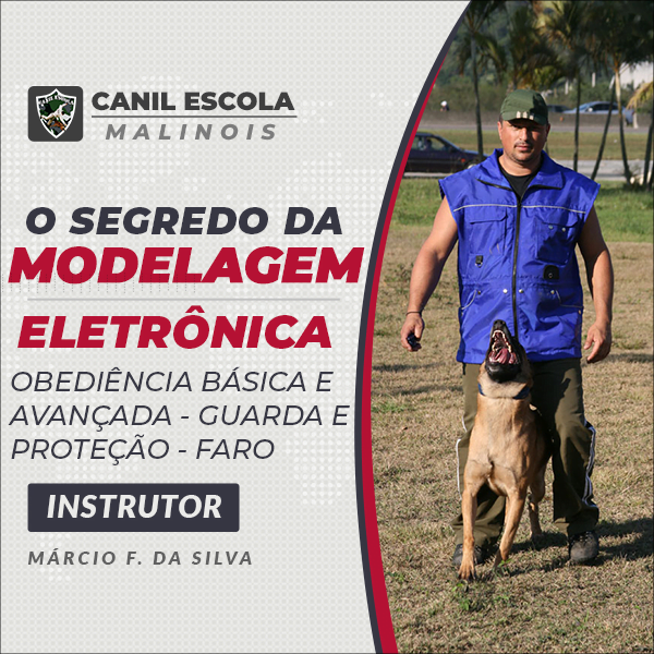 O Segredo Da Modelagem Eletrônica