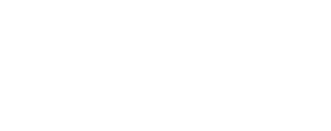 Logo NS